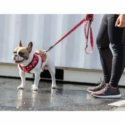 Fresh Pawz Monogram Hype | Leash Accessories Red -Fresh Pawz Shop unnamed file 123