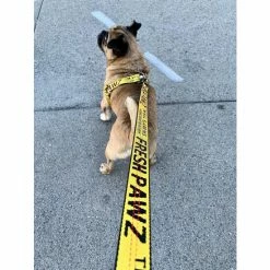 Fresh Pawz Industrial Belt | Leash Accessories Yellow -Fresh Pawz Shop unnamed file 152