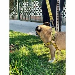 Fresh Pawz Industrial Belt | Leash Accessories Yellow -Fresh Pawz Shop unnamed file 156