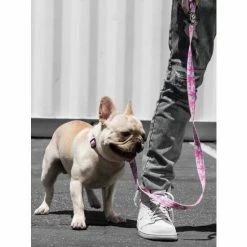 Fresh Pawz Pastel Camo | Leash Accessories Pink -Fresh Pawz Shop unnamed file 164
