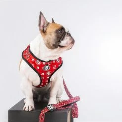 Fresh Pawz Monogram Hype | Adjustable Mesh Harness Accessories Red -Fresh Pawz Shop unnamed file 191