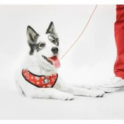 Fresh Pawz Monogram Hype | Adjustable Mesh Harness Accessories Red -Fresh Pawz Shop unnamed file 193