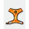 Glo Gang X Fresh Pawz | Adjustable Mesh Harness Accessories Orange -Fresh Pawz Shop unnamed file 203