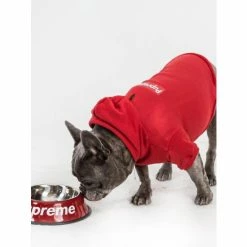 Fresh Pawz Pupreme Box Logo Hoodie | Dog Clothing Apparel Red 7 Fresh Pawz Pupreme Box Logo Hoodie | Dog Clothing Apparel Red -Fresh Pawz Shop unnamed file 257
