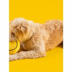 Smiley X Fresh Pawz| Dog Toy Toys Yellow -Fresh Pawz Shop unnamed file 276