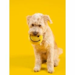 Smiley X Fresh Pawz| Dog Toy Toys Yellow -Fresh Pawz Shop unnamed file 277