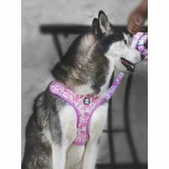 Fresh Pawz Pastel Camo | Adjustable Mesh Harness Accessories Pink 8 Fresh Pawz Pastel Camo | Adjustable Mesh Harness Accessories Pink -Fresh Pawz Shop unnamed file 285