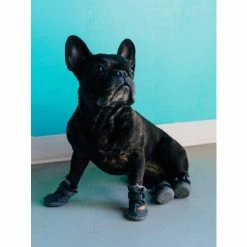 Fresh Pawz Beluga 544 Dog Shoes Apparel Grey -Fresh Pawz Shop unnamed file 316