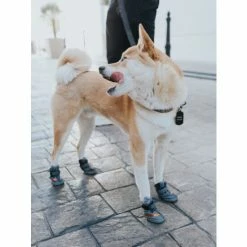 Fresh Pawz Beluga 544 Dog Shoes Apparel Grey -Fresh Pawz Shop unnamed file 317