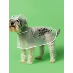 Fresh Pawz Quotation Mark Rain Jacket Apparel Black -Fresh Pawz Shop unnamed file 337