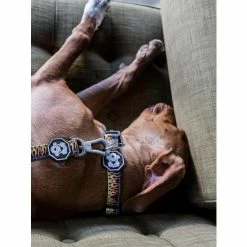 Fresh Pawz Flame Thrower | Collar Accessories Black -Fresh Pawz Shop unnamed file 347