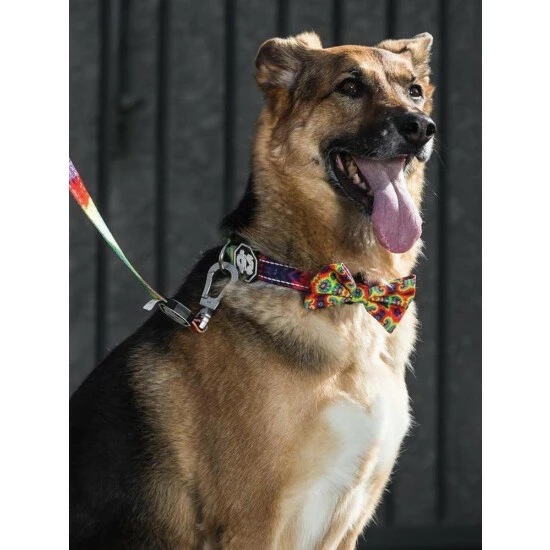 Fresh Pawz Tie-Dye | Bowtie Apparel Multi 4 Fresh Pawz Tie-Dye | Bowtie Apparel Multi - Image 2