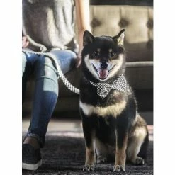 Fresh Pawz Checkerboard | Bowtie Apparel White -Fresh Pawz Shop unnamed file 394