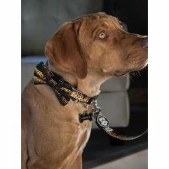 Fresh Pawz Flame Thrower | Bowtie Apparel Black -Fresh Pawz Shop unnamed file 402