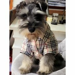 Fresh Pawz Furberry Checkered Button Up | Dog Clothing Apparel Black -Fresh Pawz Shop unnamed file 425