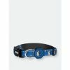 Dallas Mavericks X Fresh Pawz - Hardwood | Collar Accessories Blue -Fresh Pawz Shop unnamed file 439