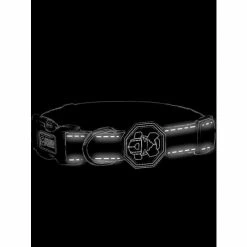 Fresh Pawz Money Talks | Collar Accessories Gry -Fresh Pawz Shop unnamed file 462