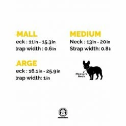 Fresh Pawz Money Talks | Collar Accessories Gry -Fresh Pawz Shop unnamed file 463