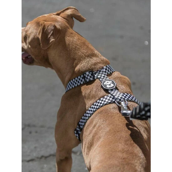 Fresh Pawz Checkerboard | H-Harness Accessories White 4 Fresh Pawz Checkerboard | H-Harness Accessories White - Image 2
