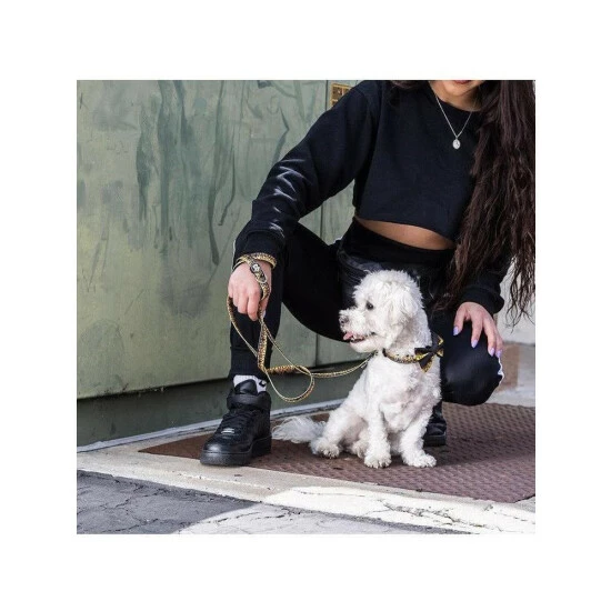 Fresh Pawz Flame Thrower | Leash Accessories Black 4 Fresh Pawz Flame Thrower | Leash Accessories Black - Image 2