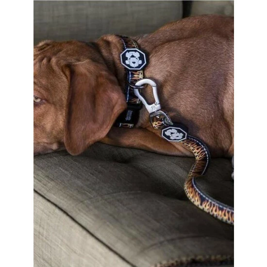 Fresh Pawz Flame Thrower | Leash Accessories Black 5 Fresh Pawz Flame Thrower | Leash Accessories Black - Image 3
