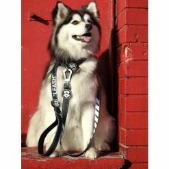 Fresh Pawz Quotation Mark | Leash Accessories Black -Fresh Pawz Shop unnamed file 532