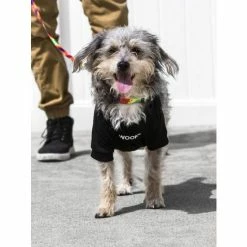 Fresh Pawz Woof T-shirt | Dog Clothing Apparel Black -Fresh Pawz Shop unnamed file 587