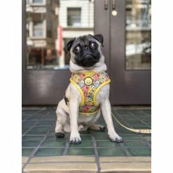 Spongebob X Fresh Pawz - SB & Friends | Adjustable Mesh Harness Accessories Yellow 9 Spongebob X Fresh Pawz - SB & Friends | Adjustable Mesh Harness Accessories Yellow -Fresh Pawz Shop unnamed file 596