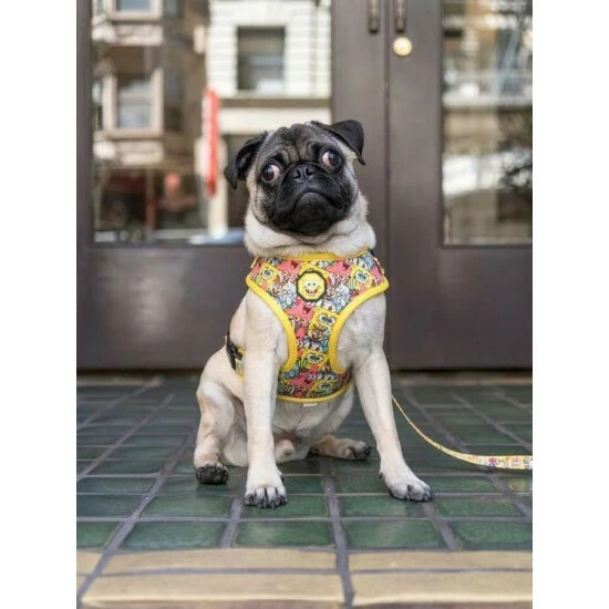 Spongebob X Fresh Pawz - SB & Friends | Adjustable Mesh Harness Accessories Yellow 5 Spongebob X Fresh Pawz - SB & Friends | Adjustable Mesh Harness Accessories Yellow - Image 3