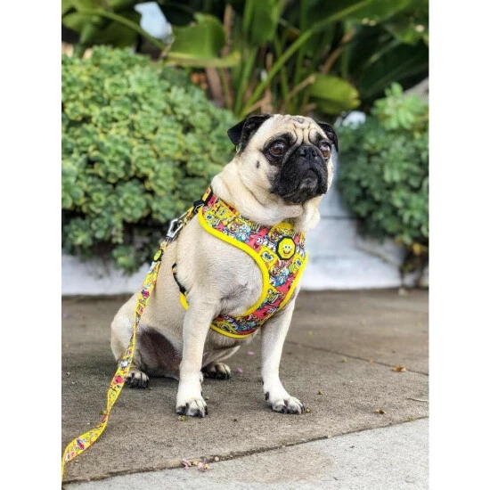 Spongebob X Fresh Pawz - SB & Friends | Adjustable Mesh Harness Accessories Yellow 6 Spongebob X Fresh Pawz - SB & Friends | Adjustable Mesh Harness Accessories Yellow - Image 4