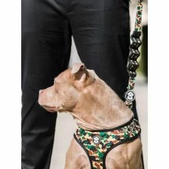 Fresh Pawz Hype Camo | Bungee Leash Accessories Green -Fresh Pawz Shop unnamed file 613