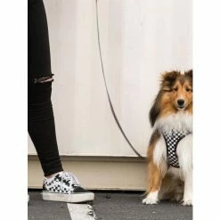 Fresh Pawz Checkerboard | Adjustable Mesh Harness Accessories White -Fresh Pawz Shop unnamed file 620