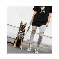 Fresh Pawz Checkerboard | Adjustable Mesh Harness Accessories White -Fresh Pawz Shop unnamed file 621