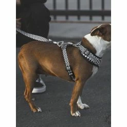 Fresh Pawz Checkerboard | Adjustable Mesh Harness Accessories White -Fresh Pawz Shop unnamed file 622