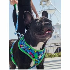 Fresh Pawz 90s Throwback | Adjustable Mesh Harness Accessories Blue -Fresh Pawz Shop unnamed file 631