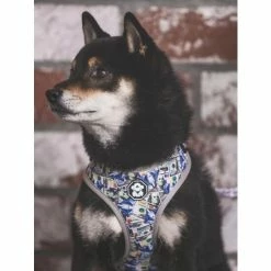 Fresh Pawz Money Talks | Adjustable Mesh Harness Accessories Grey -Fresh Pawz Shop unnamed file 639