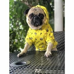Spongebob X Fresh Pawz - SB All Over Hoodie | Dog Clothing Apparel Yellow -Fresh Pawz Shop unnamed file 651