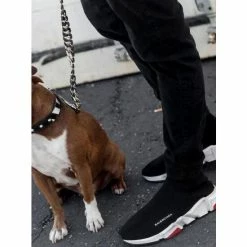 Fresh Pawz Shop -Fresh Pawz Shop unnamed file 705