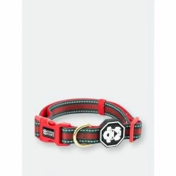 Fresh Pawz G-Stripe | Collar Accessories Green