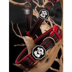 Fresh Pawz G-Stripe | Collar Accessories Green -Fresh Pawz Shop unnamed file 75