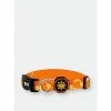 Glo Gang X Fresh Pawz | Collar Accessories Orange 2 Glo Gang X Fresh Pawz | Collar Accessories Orange -Fresh Pawz Shop unnamed file 78